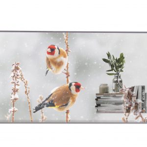 LG 55" 55EW5P OLED F